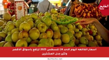 أسعار الفاكهة اليوم الأحد 24 أغسطس 2025 ترتفع بأسواق الأقصر وتثير جدل المشترين